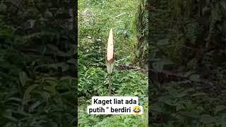  WHAT#beritaterkini #memes #meme #riauonline #viral