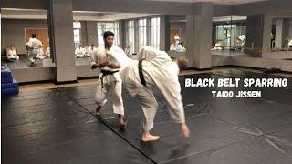 Black Belt Sparring - Me vs Chatfield - Taido Jissen Breakdown 躰道