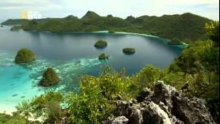 Дикая природа Индонезии  Затерянные миры Папуа
