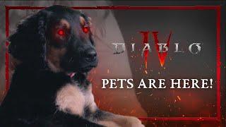 Diablo IV  Pets Are Here