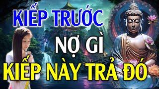 Phật Dạy KIẾP TRƯỚC NỢ GÌ KIẾP NÀY TRẢ ĐÓ Luật Nhân Quả Không Bỏ Sót Bất Kỳ Ai  Audio Pháp Tâm