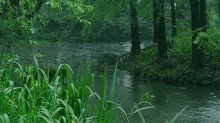 The beautiful little river is raining229  sleep relax meditate study work ASMR