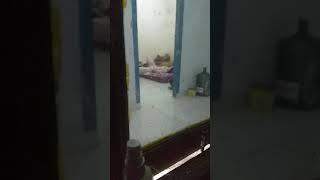 ngintip anak kost sebelah rumah temen 