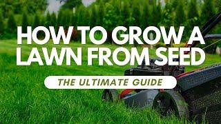 How to Grow a Lawn from Seed