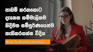 How to Avoid Laziness While Studying  Sinhala Motivational Video