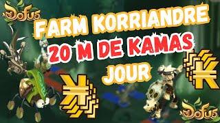 Dofus Maroc Astuce Kamas Farm Donjon Korriandre    Stuff Low Cost