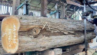 Extraordinary  Old teak wood that looks rotten is cut using a bandsaw