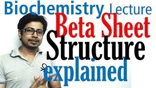 Beta sheet structure of proteins