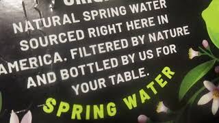 Origin Sparkling Lime American Spring Water