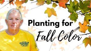 Planting for Fall Color  Fall Leaf Foliage for North Carolina