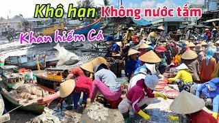 Quá khổ không nước tắm khô hạn khan hiếm cá Chợ Cảng Cá Vàm Láng Gò Công