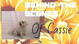 Behind the scenes of Cassie