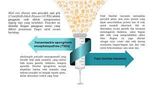 A420170081- Mufida Sholihatunisa- PENYAKIT YANG DISEBABKAN OLEH PRION