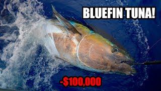 $100000 GIANT BLUEFIN TUNA? One Day Early