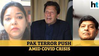 Watch Pakistans terror tactic amid Covid-19 crisis explained