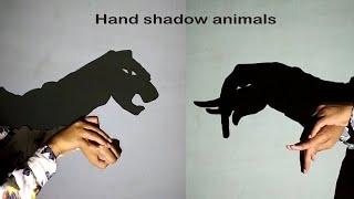 Hand Shadow Puppets Video