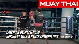 Muay Thai  How To Catch An Overextended Opponent With A Cross Combination