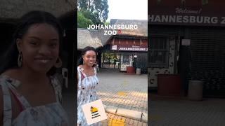 Heres a review video of our trip to Johannesburg Zoo. A budget friendly outing #travel #tourism