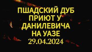 Джиппинг и пластилиновые тачки ПШАДСКИЙ дуб Новосадовый Данилевич 520 Новый на УАЗе 29.04.24