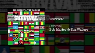 Survival 1979 - Bob Marley & The Wailers