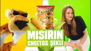 Chester ft. Miray Daner Mısırın Cheetos Şekli