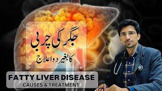 Fatty liver disease Symptoms causes and Treatment  impact of weight loss in fatty liver treatment.