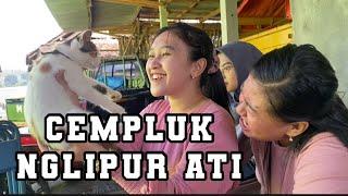 BTS PLOSOK DIGITAL TERBARU  BARDOLO SIDO WAYUH MAK CEMPLUK NGLIPUR ATI