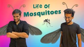 Life of Mosquitoes  Funcho