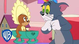 Tom & Jerry in italiano   Jerry viene adottato  WB Kids