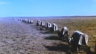 Savage Journey 1983 - Full length western movie