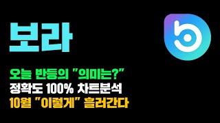 보라긴급 오늘 슈팅이 의미하는건? 정확도 100% 차트분석 10월달 이렇게 흘러갑니다.. 영상 필수시청 #코인시황