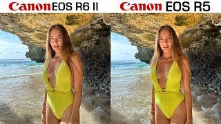 Canon EOS R6 Mark II vs Canon EOS R5 Camera Comparision