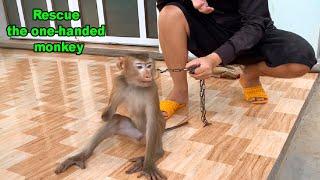 Rescue the one-handed monkey from ruthless boss - Part 1