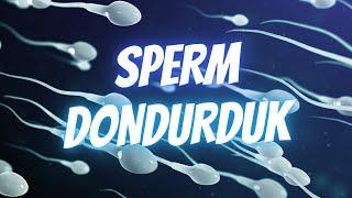 Köpeklerde Sperm Nasıl Dondurulur? Nasıl Sperm Dondurulur? Ne Amaçla Kullanılır? Maliyeti Nedir?