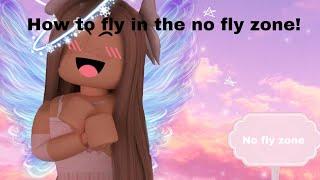 How to pass any “no fly zone” in become an angel roblox 