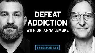 Dr. Anna Lembke Understanding & Treating Addiction