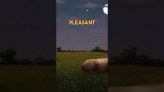 Pleasant Dreams Donkeys  Bedtime Story for Kids