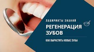 Как вырастить новые зубы? Регенерации зубов - Роман Головин