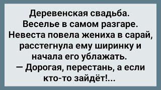 Невеста Завела Жениха в Сарай Сборник Свежих Анекдотов Юмор