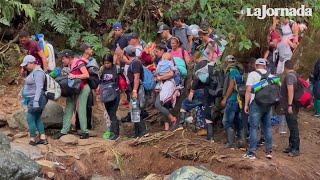 La selva del Darién un infierno para las personas migrantes