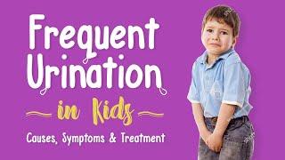 Frequent Urination in Children - Causes Symptoms and Treatment