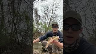 EPIC FLY FISHING CATCH   #fishing #shorts