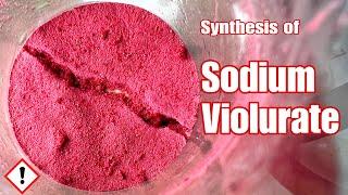 Sodium Violurate  Synthesis
