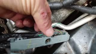 Fixing Rodent Damage in the Buick