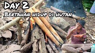 Solo kemping bertahan hidup dan mencari makanan di hutan belantara untuk di konsumsi