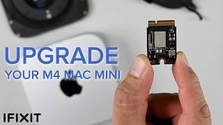 M4 Mac mini Teardown - UPGRADABLE SSD Powerful and TINY