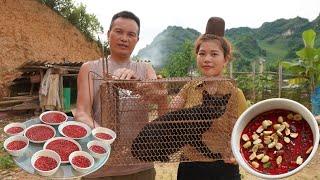 Tiết Canh Mèo Đen Chú Anh Đánh Tiết Canh Mèo Tuyệt Đỉnh - Nhịp Sống Tây Bắc