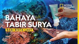 Gawat Bahaya Tabir Surya Bagi Biota Laut