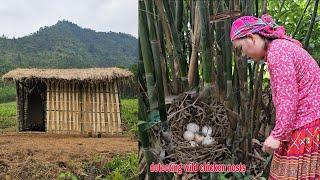 Discovering large potholes in the forest while cutting bamboo to build a house