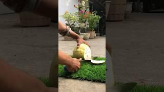 Unboxing kelapa muda dengan pisau super tajam#shortvideo